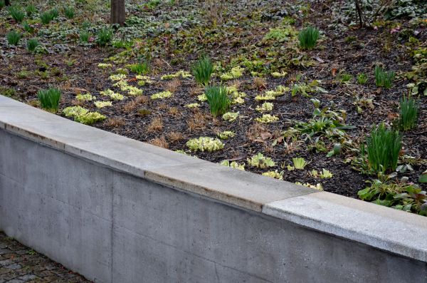 Concrete Wall Construction in San Angelo