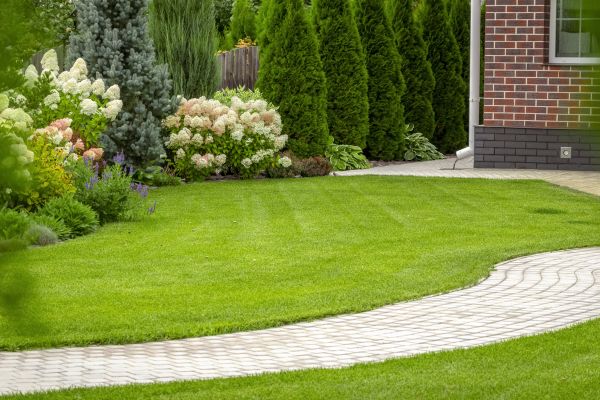 Landscape Walkway Installation in San Angelo