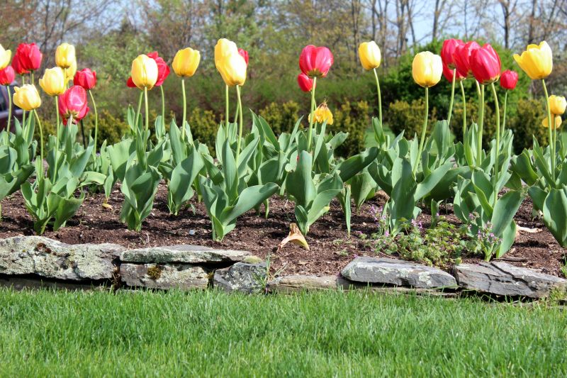 Flowerbed Edging Installation detail